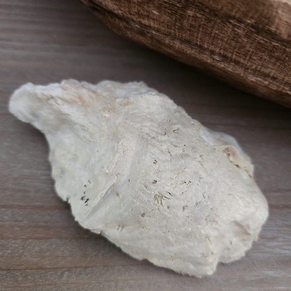 Elegant unique oyster jewelry dish - Picture 4 of 6